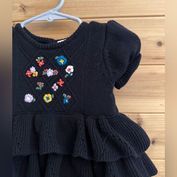 Hanna Andersson Size 70/6-12 Months Embroidered Floral Ruffle Skirt Dress - Picture 2 of 13